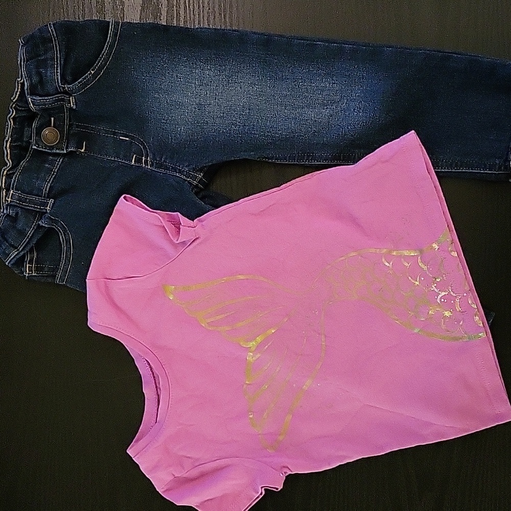 Set of Garanimals Girl's T-shirt and Jeans (Sz 2T)